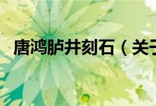 唐鴻臚井刻石（關(guān)于唐鴻臚井刻石的介紹）