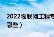 2022物聯(lián)網(wǎng)工程專(zhuān)業(yè)就業(yè)前景（主要課程有哪些）