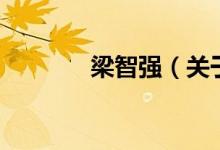 梁智強（關(guān)于梁智強的介紹）