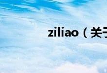 ziliao（關于ziliao的介紹）