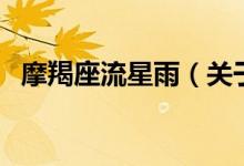 摩羯座流星雨（關于摩羯座流星雨的介紹）
