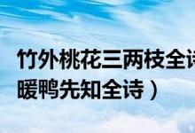竹外桃花三兩枝全詩(shī)（竹外桃花三兩枝春江水暖鴨先知全詩(shī)）