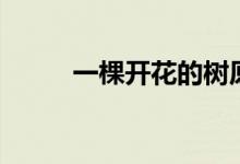 一棵開(kāi)花的樹(shù)原文（作者席慕容）