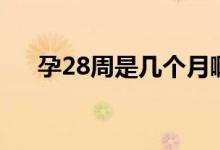 孕28周是幾個月?。ㄔ?8周是幾個月）