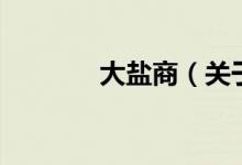 大鹽商（關(guān)于大鹽商的介紹）