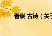 春曉 古詩（關(guān)于春曉 古詩的介紹）