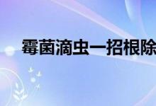 霉菌滴蟲一招根除（霉菌和滴蟲的區(qū)別）