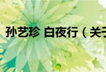 孫藝珍 白夜行（關于孫藝珍 白夜行的介紹）