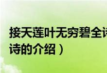 接天蓮葉無(wú)窮碧全詩(shī)（關(guān)于接天蓮葉無(wú)窮碧全詩(shī)的介紹）