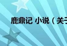 鹿鼎記 小說（關(guān)于鹿鼎記 小說的介紹）