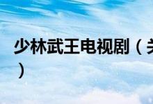 少林武王電視?。P(guān)于少林武王電視劇的介紹）