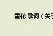 雪花 歌詞（關(guān)于雪花 歌詞的介紹）