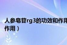 人參皂苷rg3的功效和作用是真的嗎（人參皂苷rg3的功效和作用）
