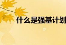 什么是強基計劃（報名條件有哪些）
