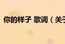 你的樣子 歌詞（關(guān)于你的樣子 歌詞的介紹）