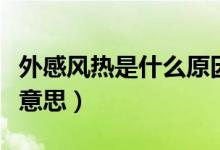 外感風(fēng)熱是什么原因引起的（外感風(fēng)熱是什么意思）