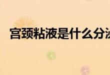宮頸粘液是什么分泌的（什么是宮頸粘液）