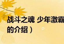 戰(zhàn)斗之魂 少年激霸（關(guān)于戰(zhàn)斗之魂 少年激霸的介紹）