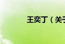 王奕?。P(guān)于王奕丁的介紹）