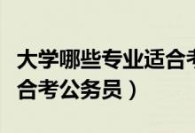 大學(xué)哪些專業(yè)適合考公務(wù)員（大學(xué)哪些專業(yè)適合考公務(wù)員）