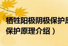 犧牲陽極陰極保護(hù)原理是什么（犧牲陽極陰極保護(hù)原理介紹）