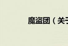 魔盜團(tuán)（關(guān)于魔盜團(tuán)的介紹）