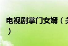 電視劇掌門女婿（關(guān)于電視劇掌門女婿的介紹）
