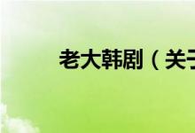 老大韓劇（關(guān)于老大韓劇的介紹）