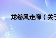 龍卷風(fēng)走廊（關(guān)于龍卷風(fēng)走廊的介紹）