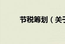 節(jié)稅籌劃（關于節(jié)稅籌劃的介紹）