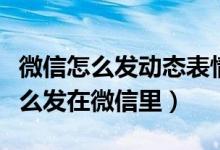 微信怎么發(fā)動(dòng)態(tài)表情紅包（動(dòng)態(tài)表情紅包要怎么發(fā)在微信里）