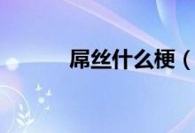 屌絲什么梗（屌絲梗意思介紹）