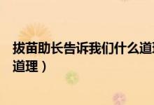 拔苗助長(zhǎng)告訴我們什么道理二年級(jí)（拔苗助長(zhǎng)告訴我們什么道理）