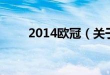 2014歐冠（關(guān)于2014歐冠的介紹）