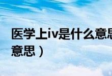 醫(yī)學上iv是什么意思的縮寫（醫(yī)學上iv是什么意思）