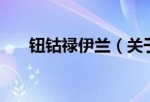 鈕鈷祿伊蘭（關(guān)于鈕鈷祿伊蘭的介紹）