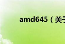 amd645（關于amd645的介紹）