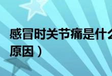 感冒時關(guān)節(jié)痛是什么原因(感冒關(guān)節(jié)痛是什么原因)