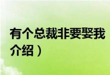 有個總裁非要娶我（關(guān)于有個總裁非要娶我的介紹）
