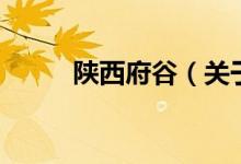 陜西府谷（關于陜西府谷的介紹）