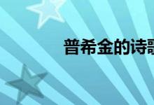 普希金的詩歌（普希金簡介）