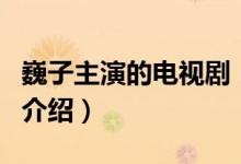 巍子主演的電視劇（關(guān)于巍子主演的電視劇的介紹）