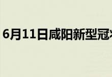 6月11日咸陽新型冠狀病毒肺炎疫情最新消息
