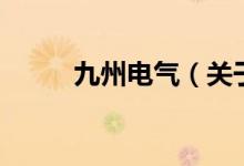 九州電氣（關(guān)于九州電氣的介紹）
