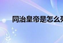 同治皇帝是怎么死的（同治皇帝是誰）