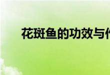 花斑魚的功效與作用（花斑魚的功效）