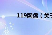 119網(wǎng)盤（關(guān)于119網(wǎng)盤的介紹）