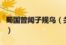 蜀國(guó)曾聞子規(guī)鳥(niǎo)（關(guān)于蜀國(guó)曾聞子規(guī)鳥(niǎo)的介紹）