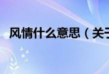 風(fēng)情什么意思（關(guān)于風(fēng)情什么意思的介紹）
