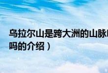 烏拉爾山是跨大洲的山脈嗎（關于烏拉爾山是跨大洲的山脈嗎的介紹）